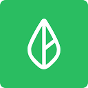 Branch logo